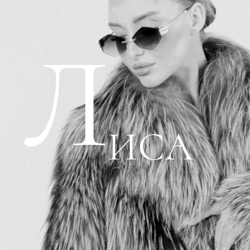 Главная Главная